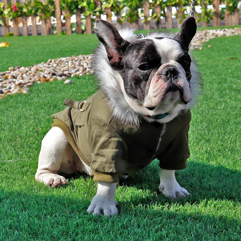 manteau-pour-chien-down jacket™-présentation