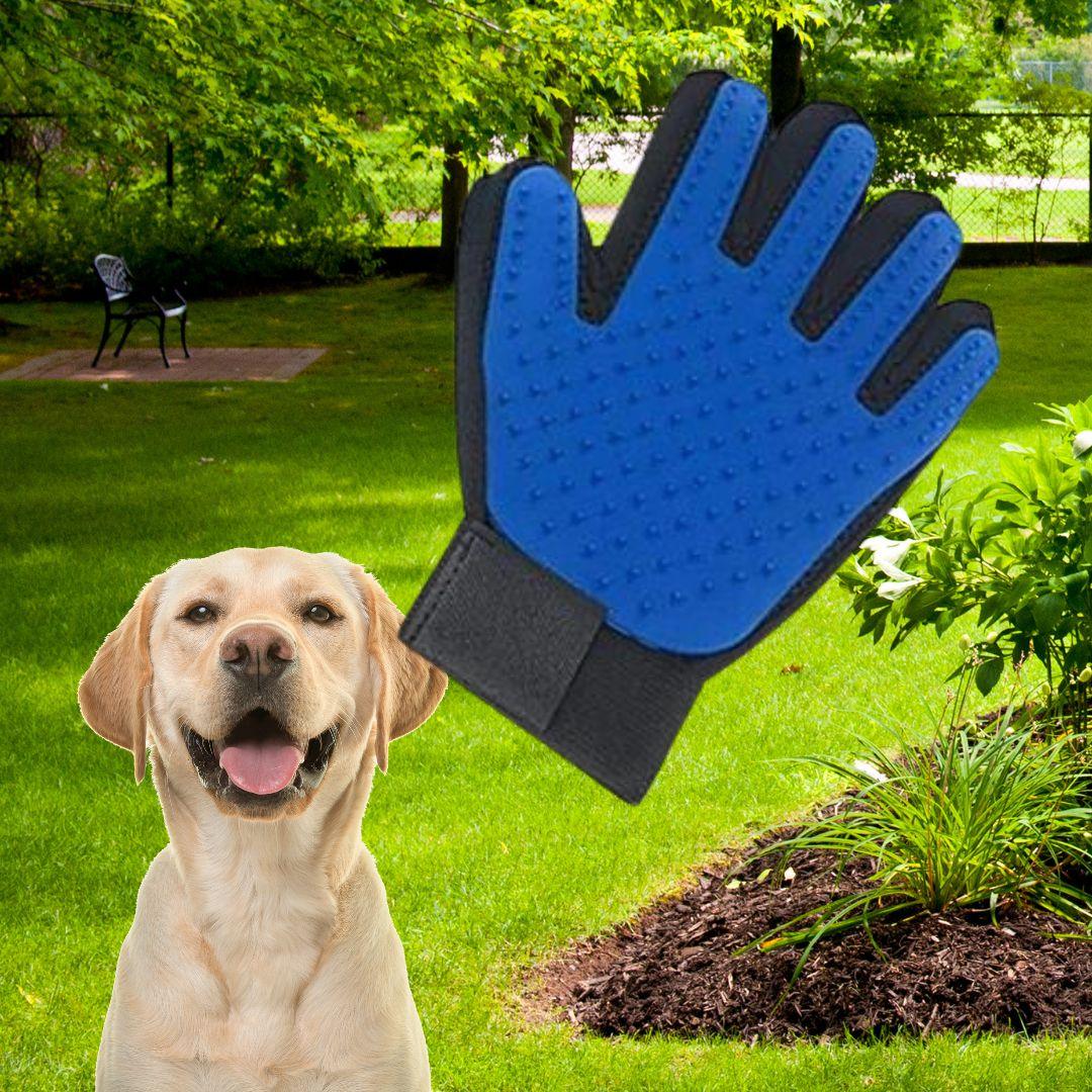 brosse anti poil|Glove ™