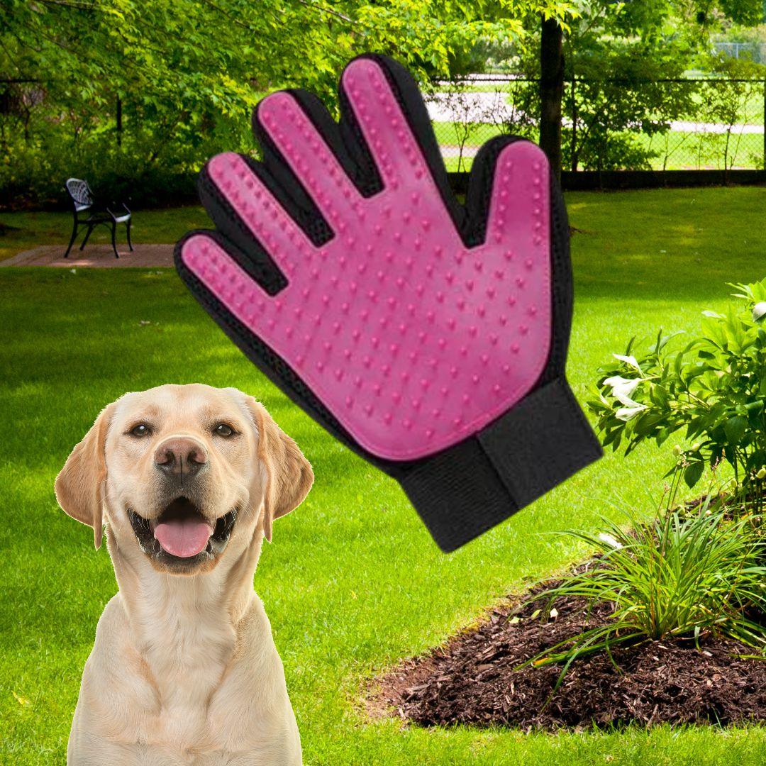 brosse anti poil|Glove ™