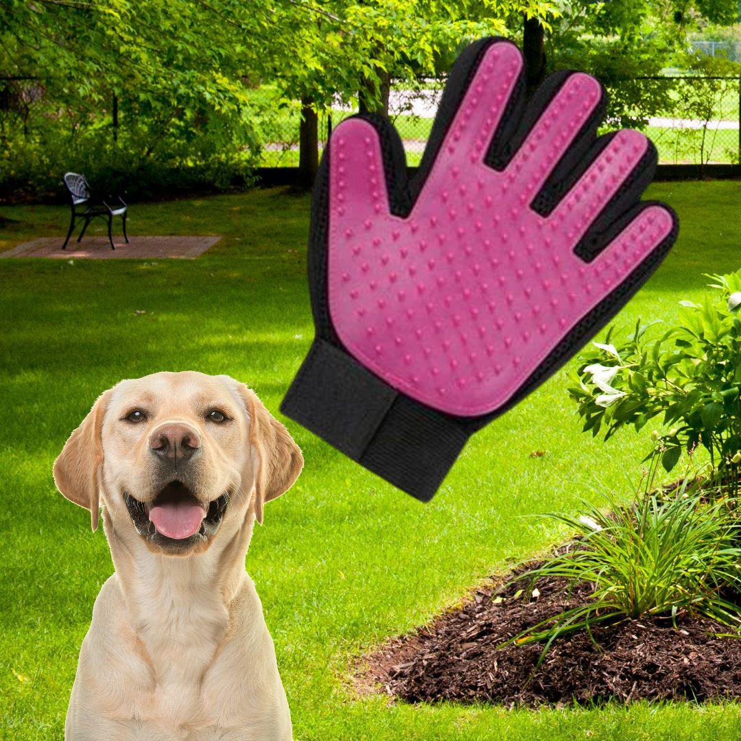 brosse anti poil|Glove ™