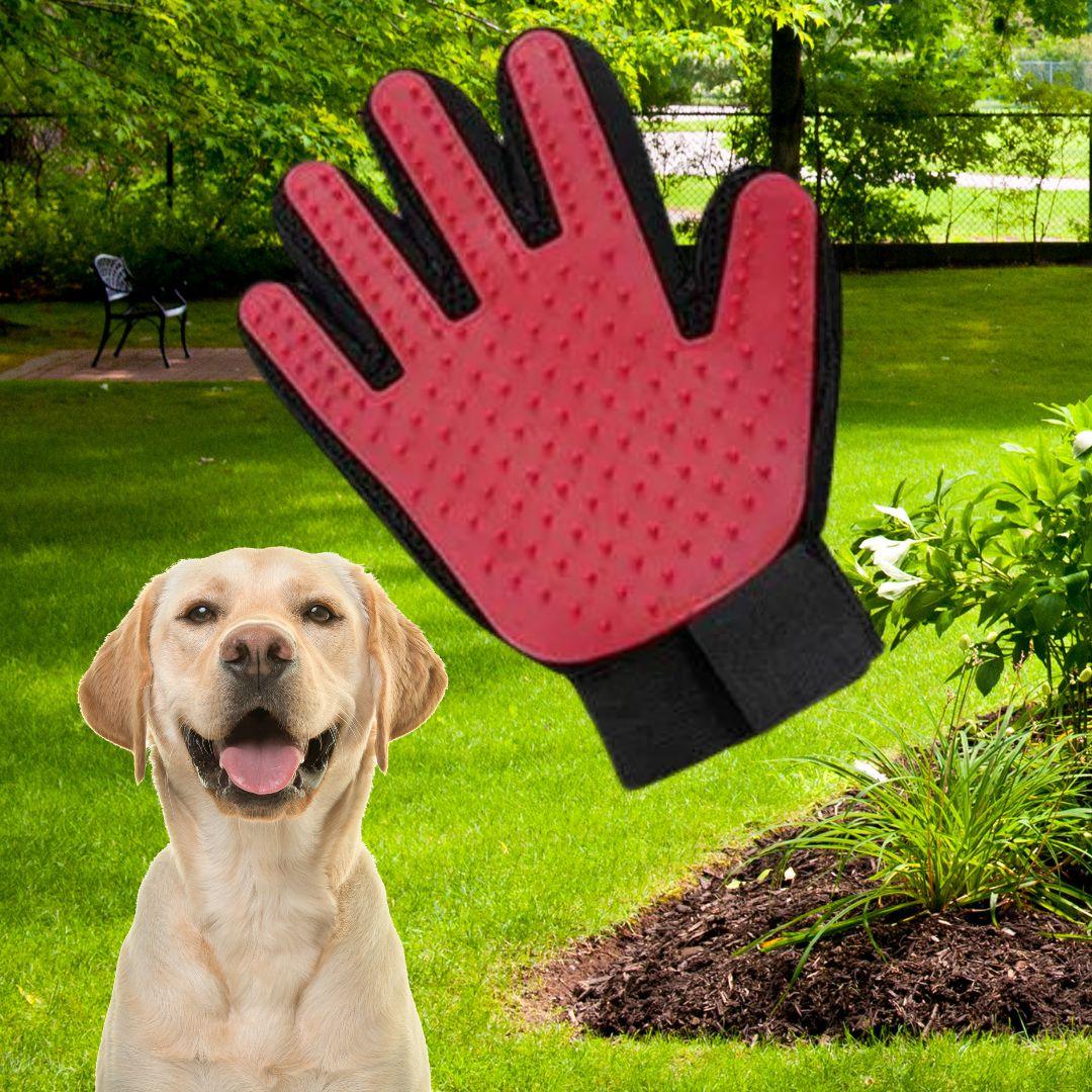 brosse anti poil|Glove ™