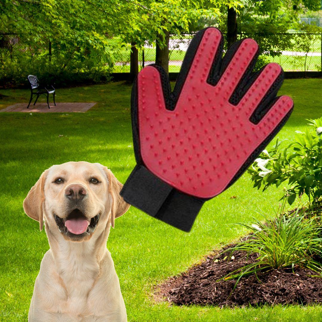brosse anti poil|Glove ™