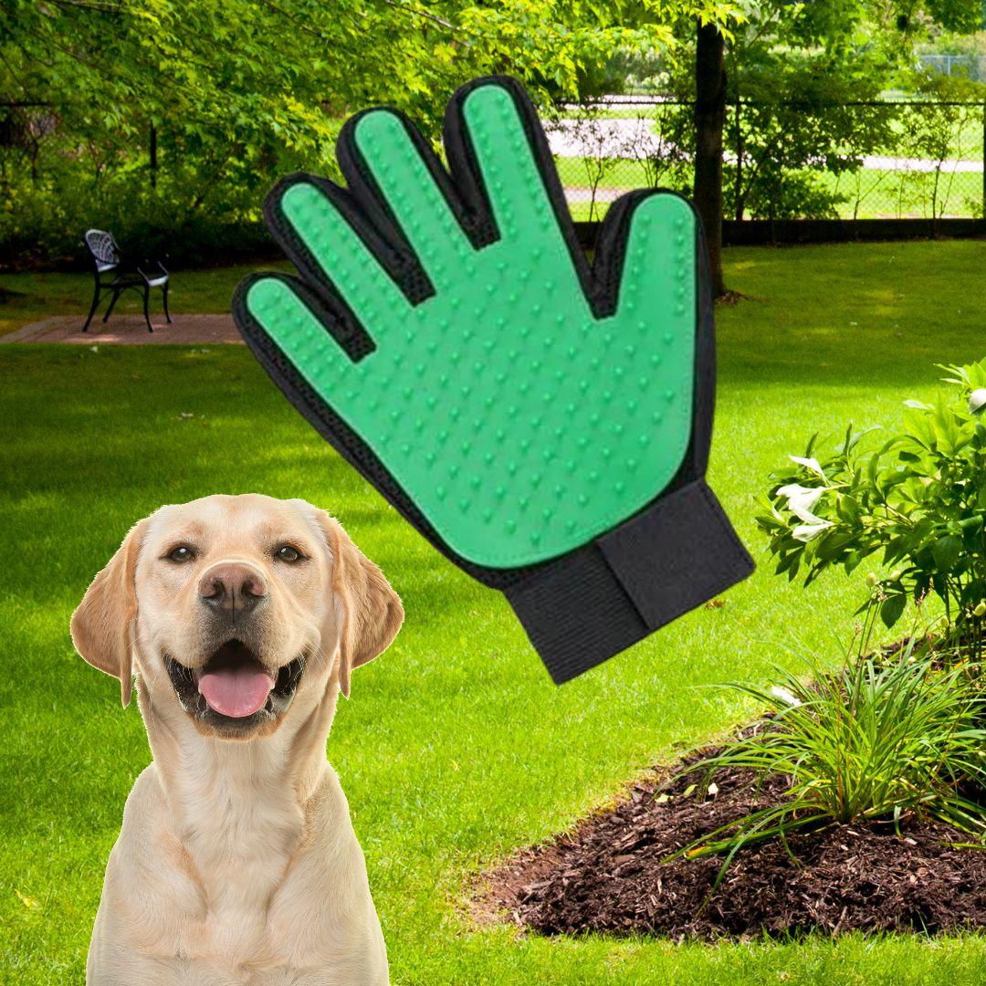 brosse anti poil|Glove ™