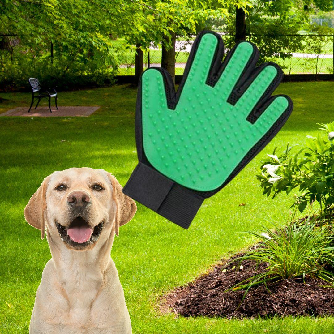 brosse anti poil|Glove ™