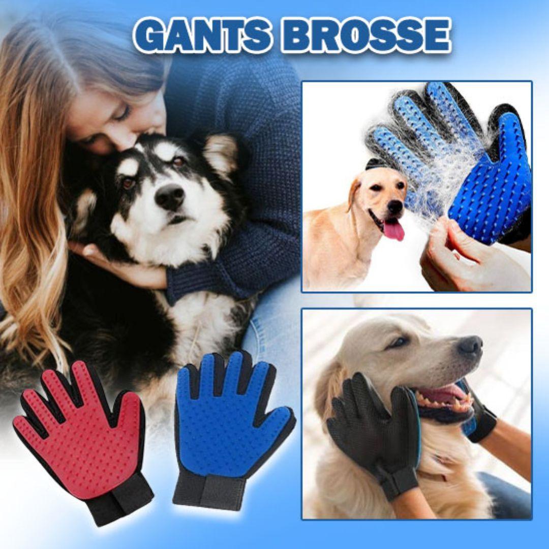 brosse anti poil|Glove ™