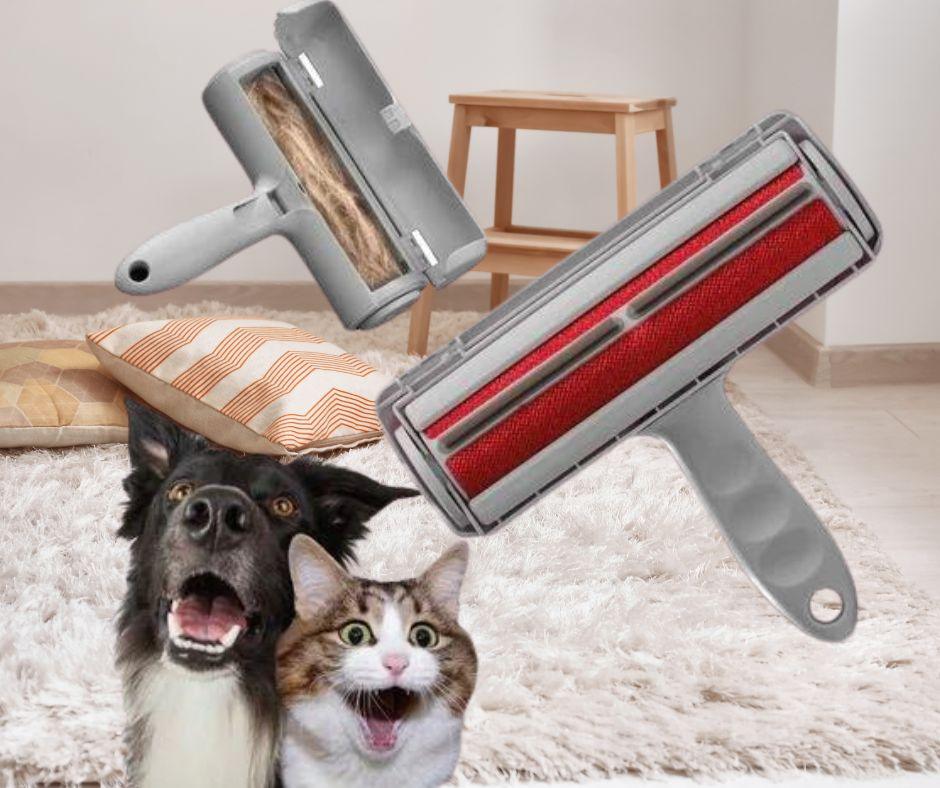 Rouleau-anti-poils-chien-Cleanoutou™-brosse-plus-chien