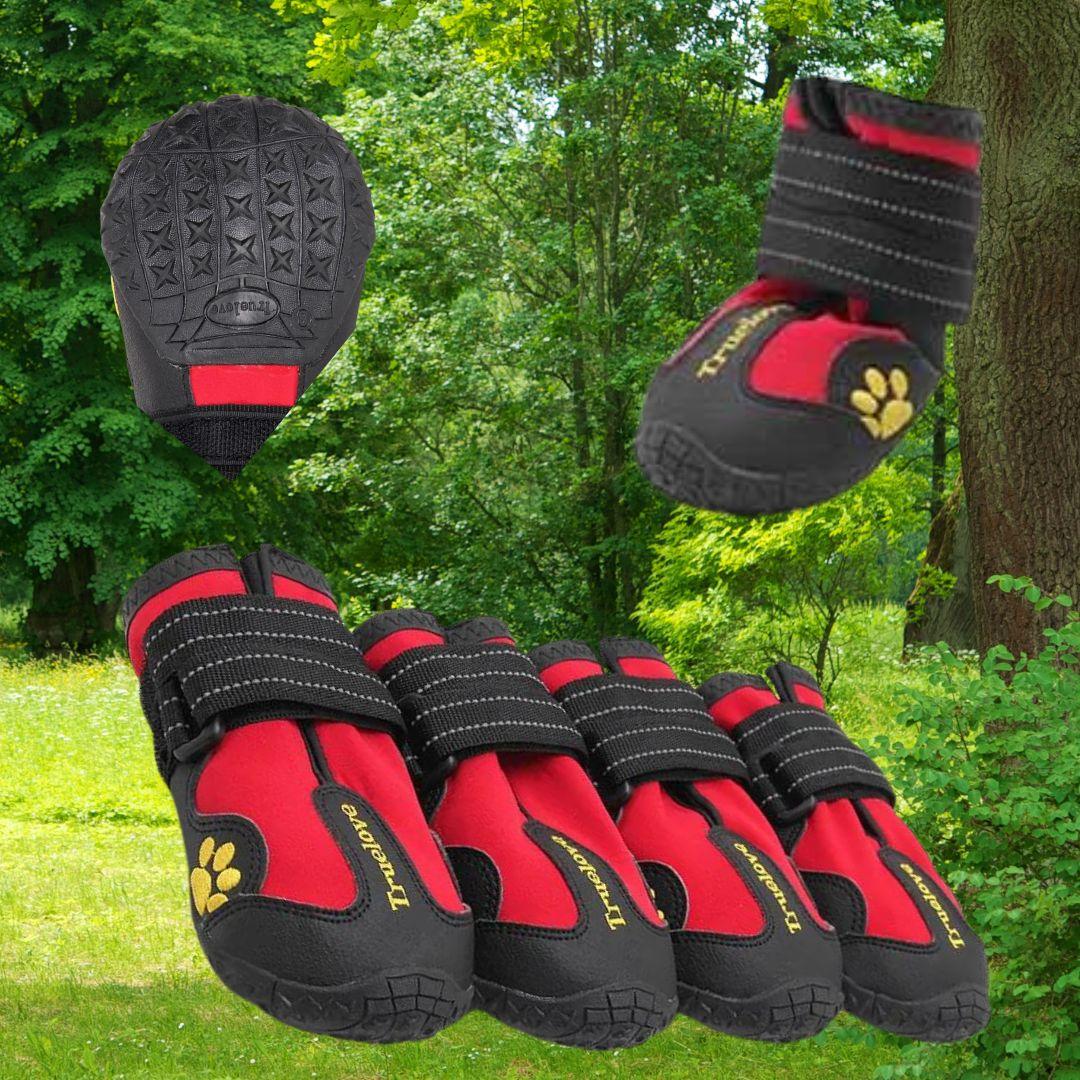 chaussure pour chien| Truelove ™