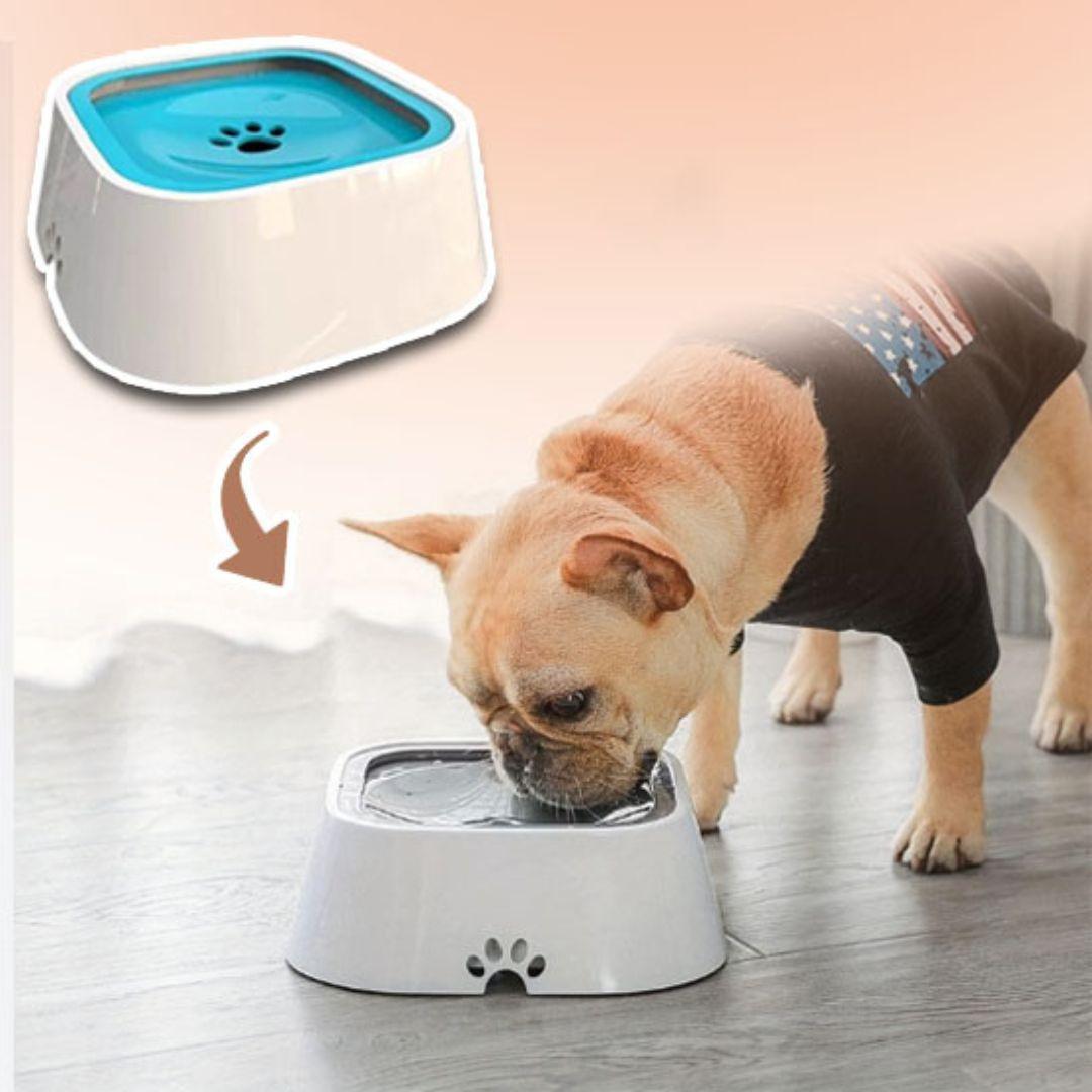 gamelle pour chien| Not Overflow™