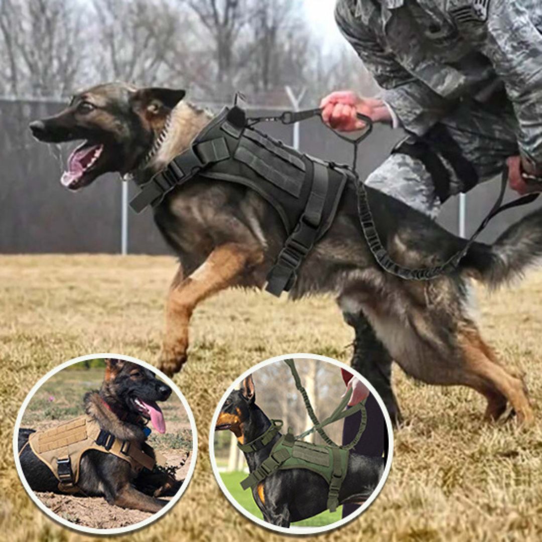 harnais pour chien| Military™