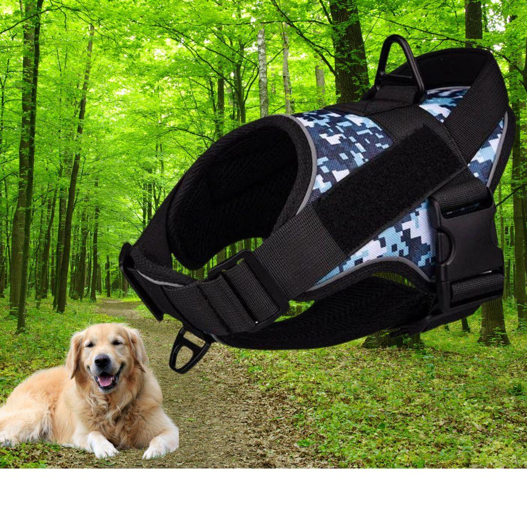 harnais pour chien | Walk in step ™