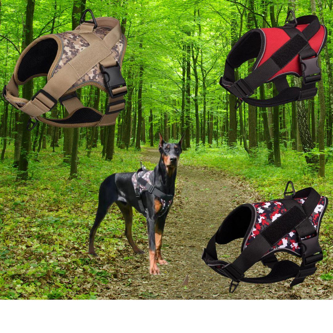 harnais pour chien | Walk in step ™