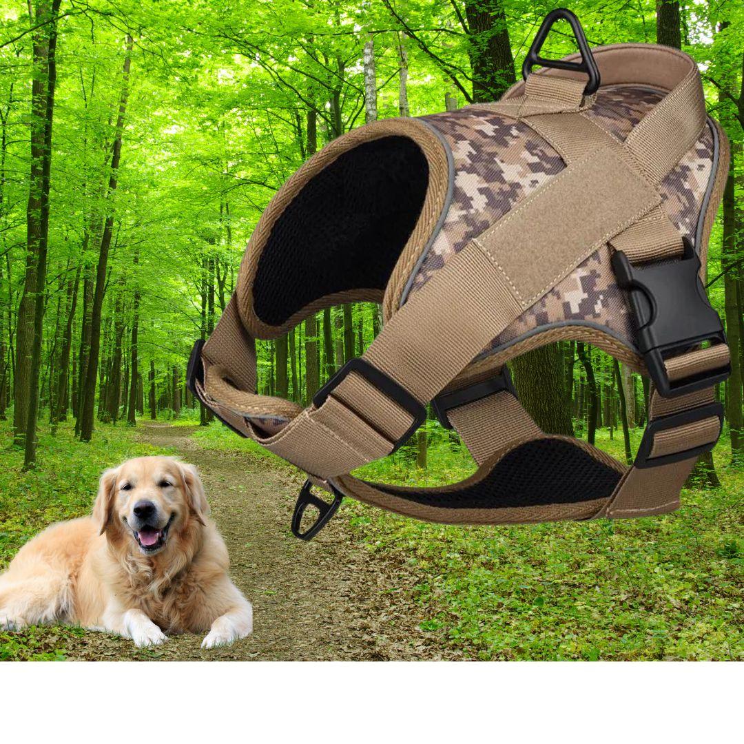 harnais pour chien | Walk in step ™