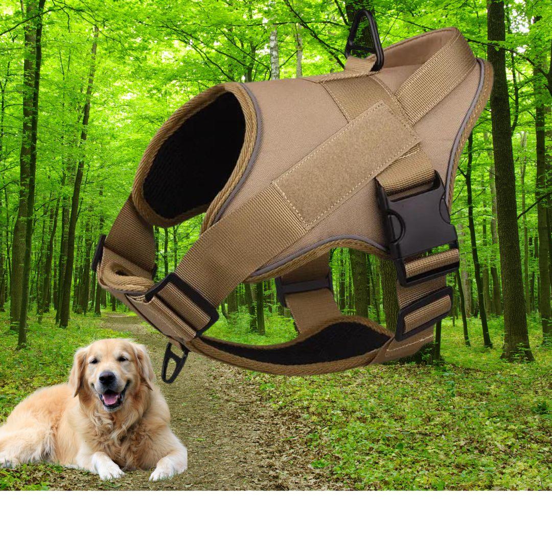 harnais pour chien | Walk in step ™