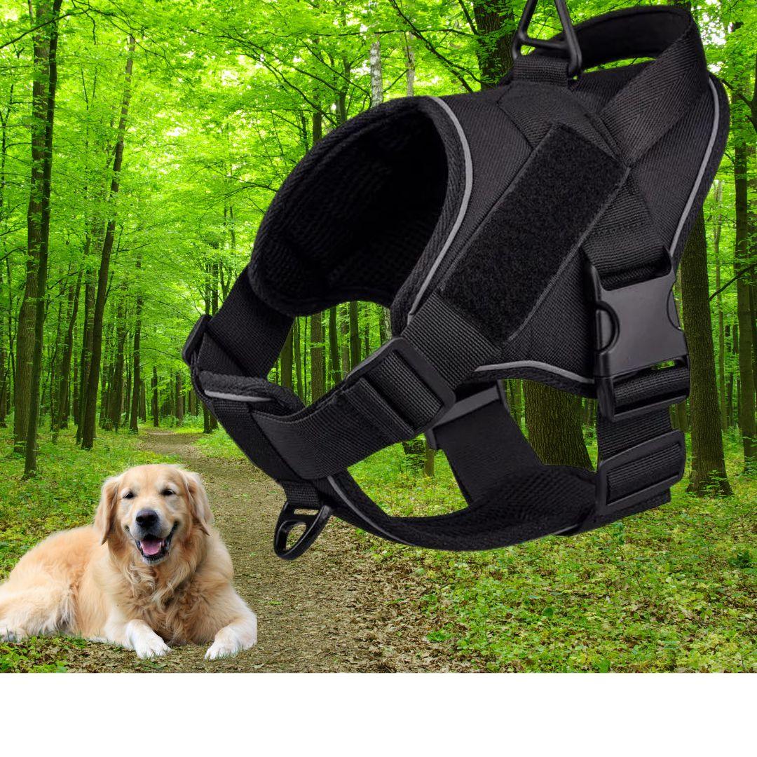 harnais pour chien | Walk in step ™