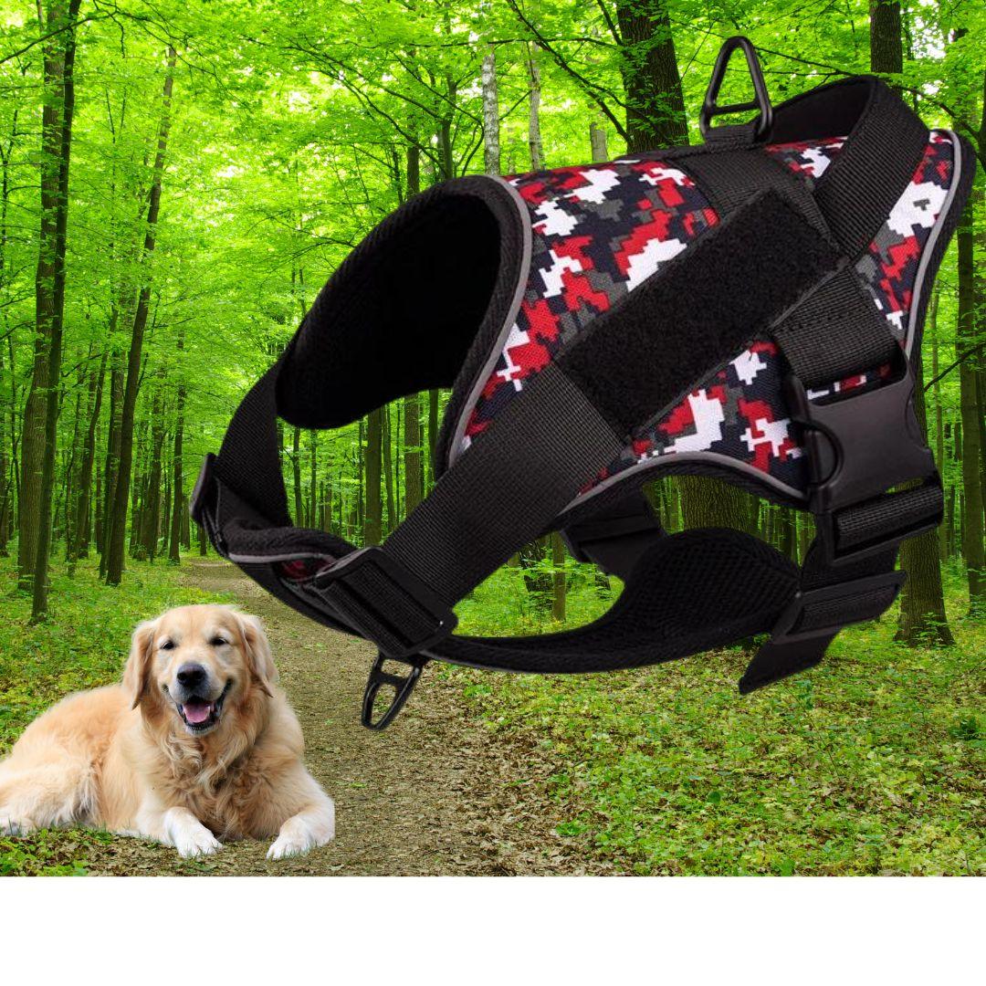 harnais pour chien | Walk in step ™