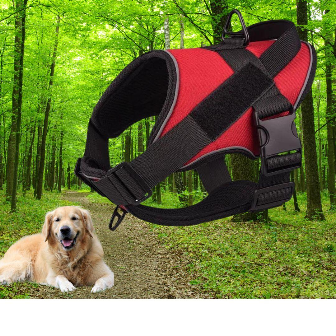 harnais pour chien | Walk in step ™