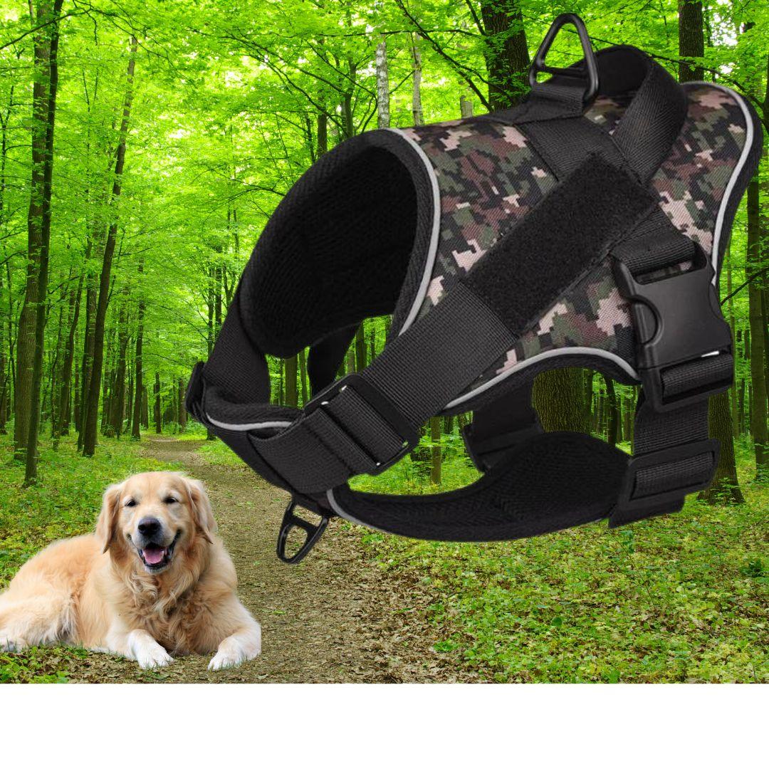 harnais pour chien | Walk in step ™