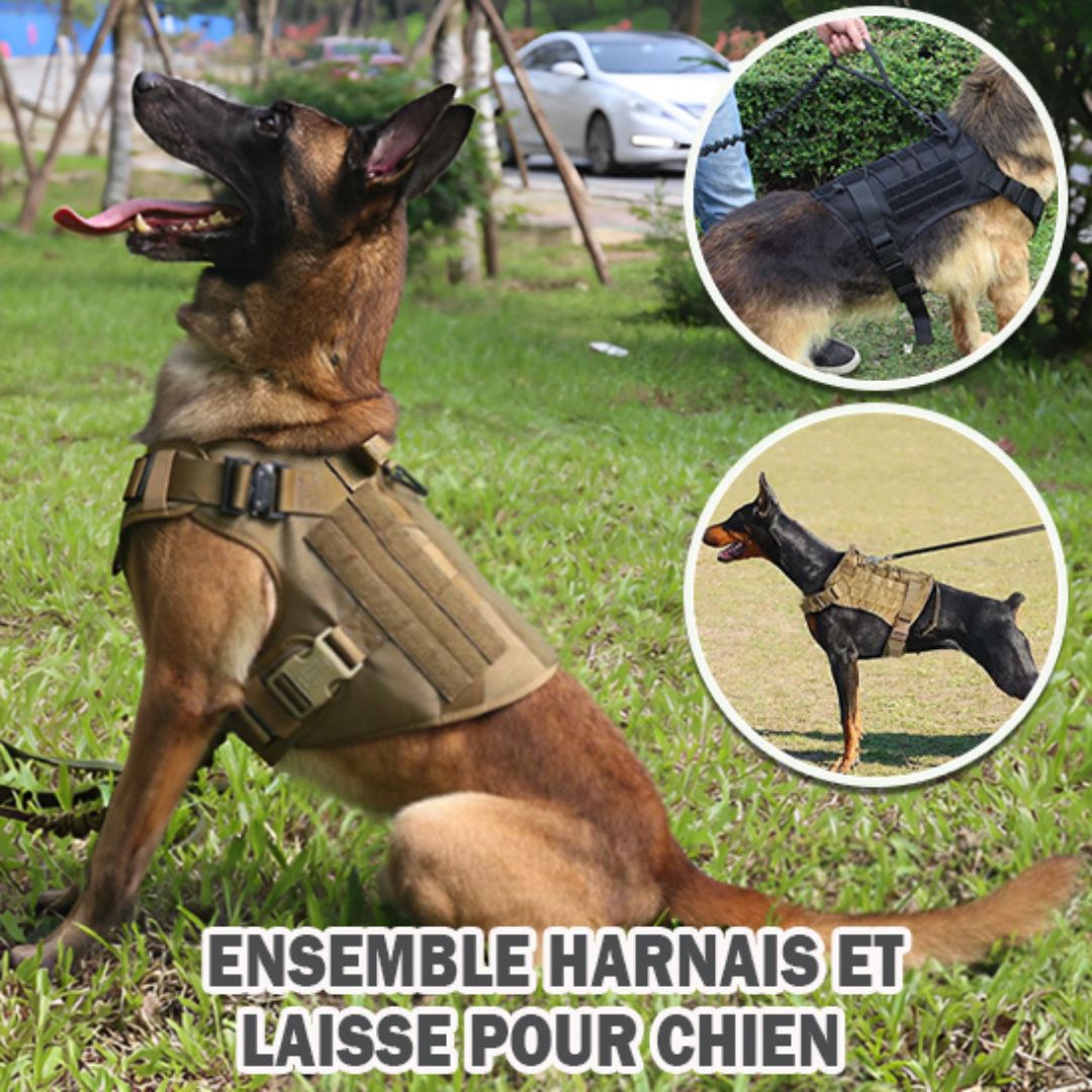 harnais pour chien| Military™