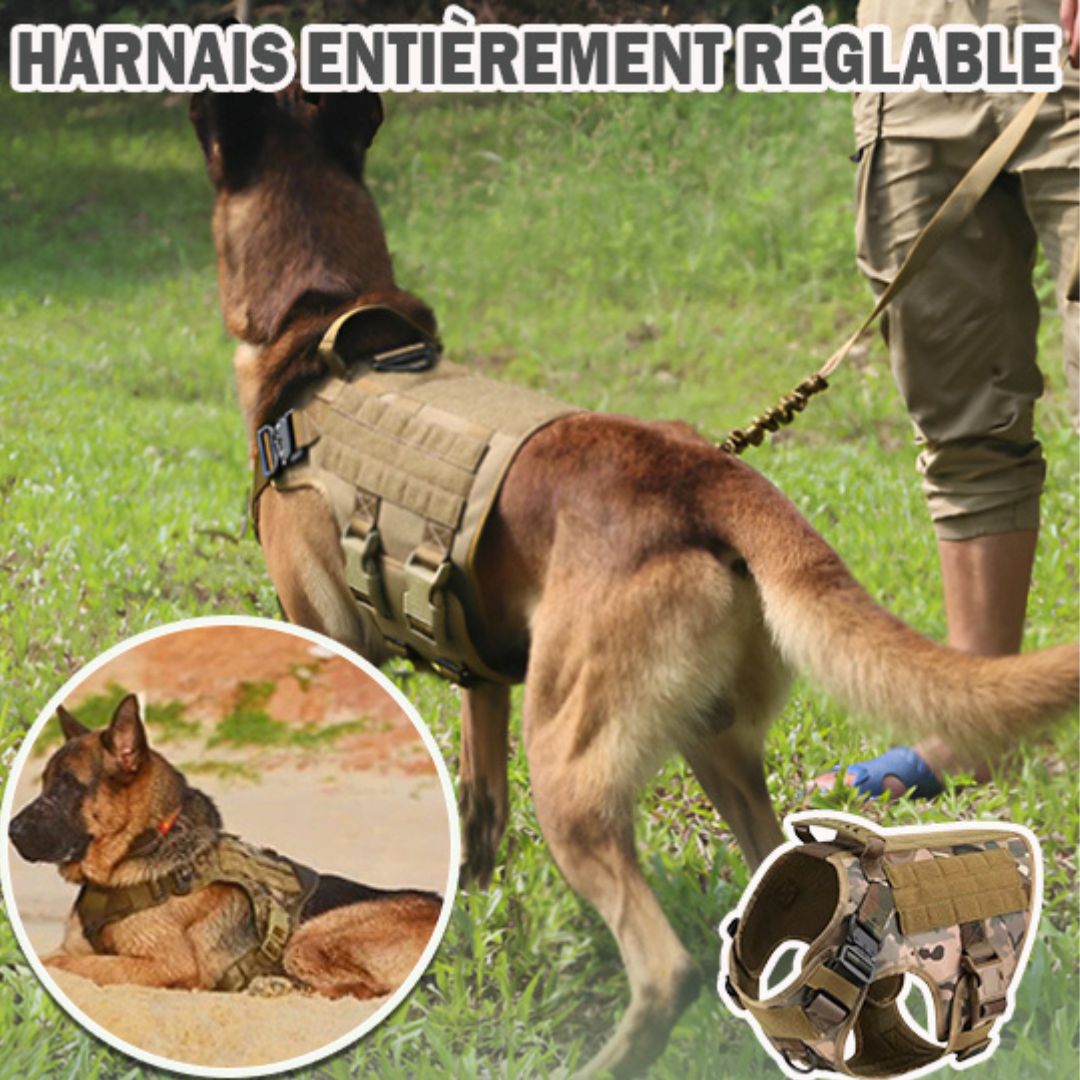 harnais pour chien| Military™