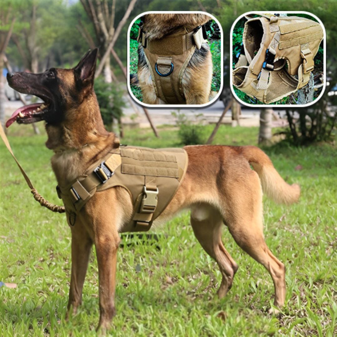 harnais pour chien| Military™