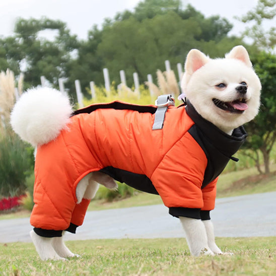 manteau pour chien|combi™