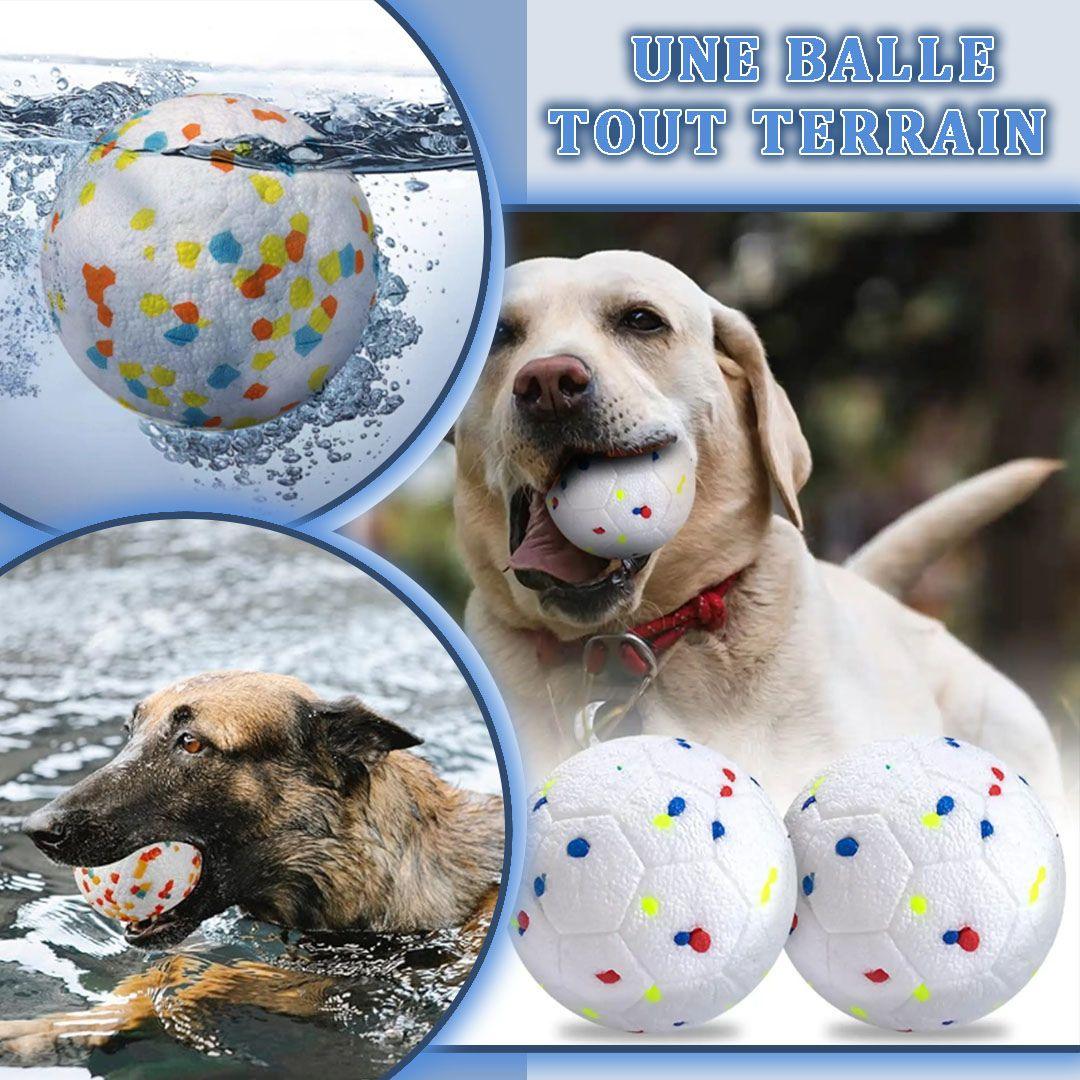 jouet pour chien| Chew ball ™
