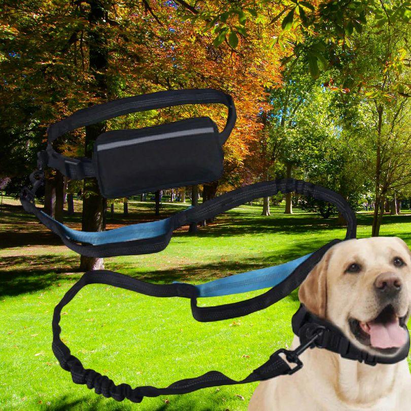 laisse pour chien| Free Leash™