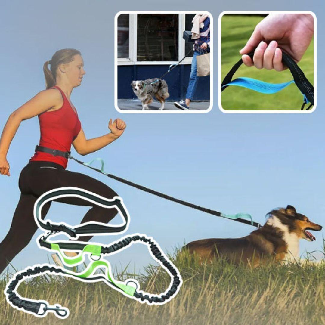 laisse pour chien| Free Leash™