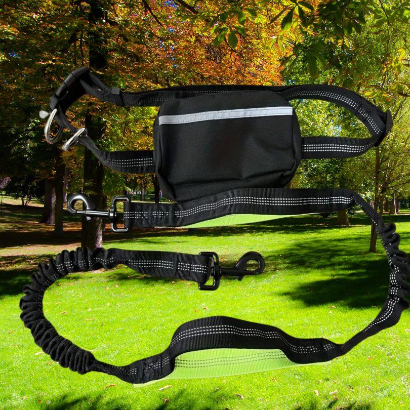 laisse pour chien| Free Leash™