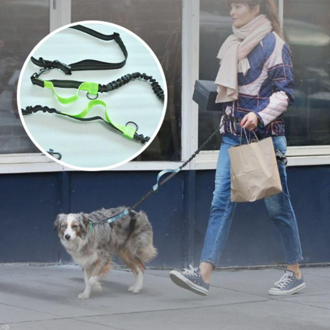 laisse pour chien| Free Leash™