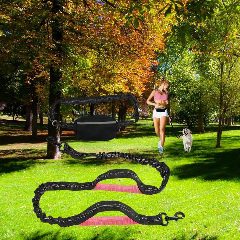laisse pour chien| Free Leash™