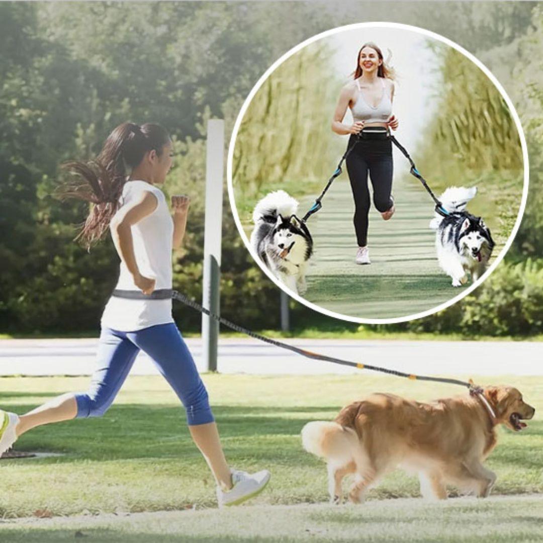 laisse pour chien| Free Leash™