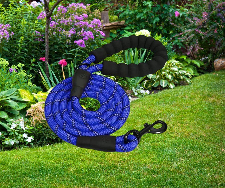 longe-pour-chien-tresnil™-bleue