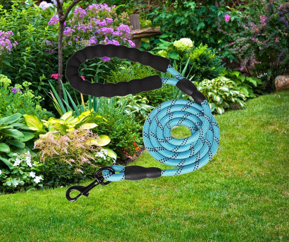 longe-pour-chien-tresnil™-bleue-clair