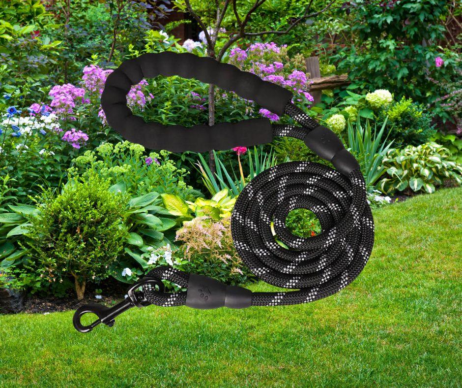longe-pour-chien-tresnil™-noir