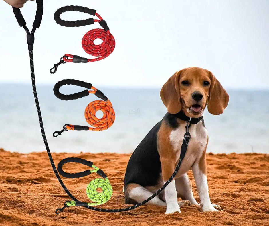 longe-pour-chien-tresnil™-vign-2
