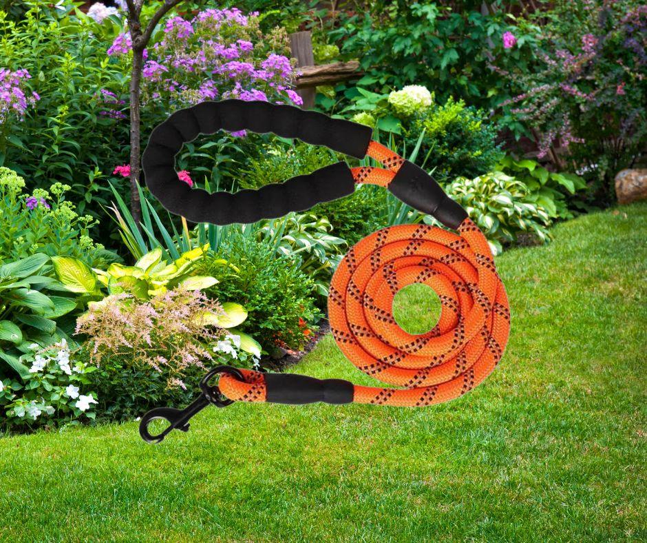 longe-pour-chien-tresnil™-orange