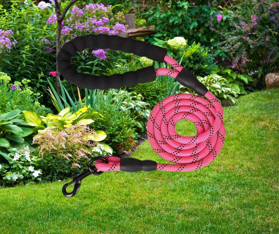 longe-pour-chien-tresnil™-rose