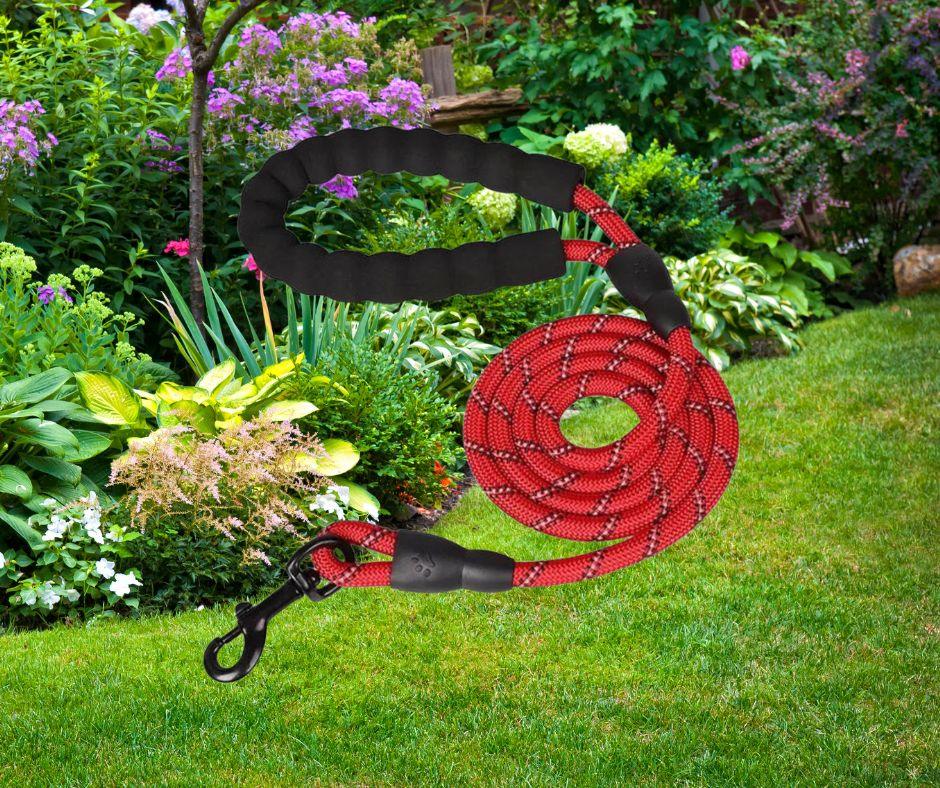 longe-pour-chien-tresnil™-rouge