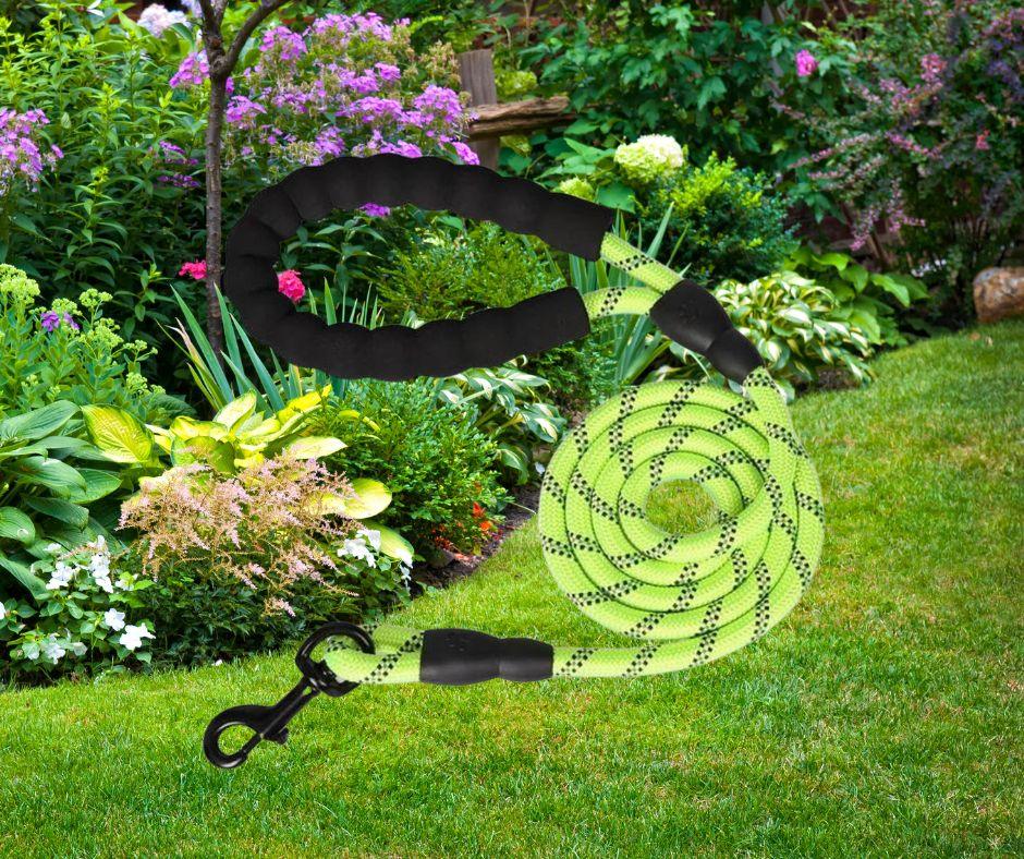 longe-pour-chien-tresnil™-vert