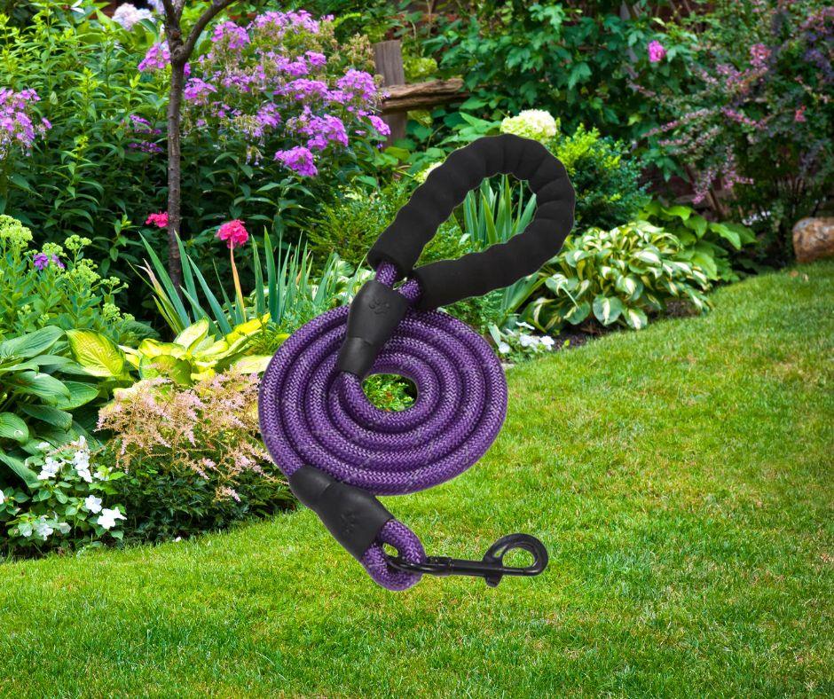 longe-pour-chien-tresnil™-violet