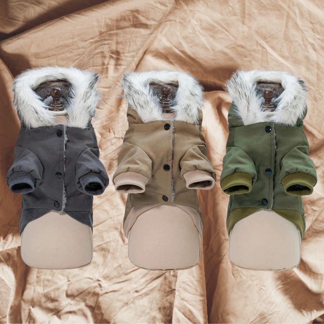 manteau chien |down jacket™