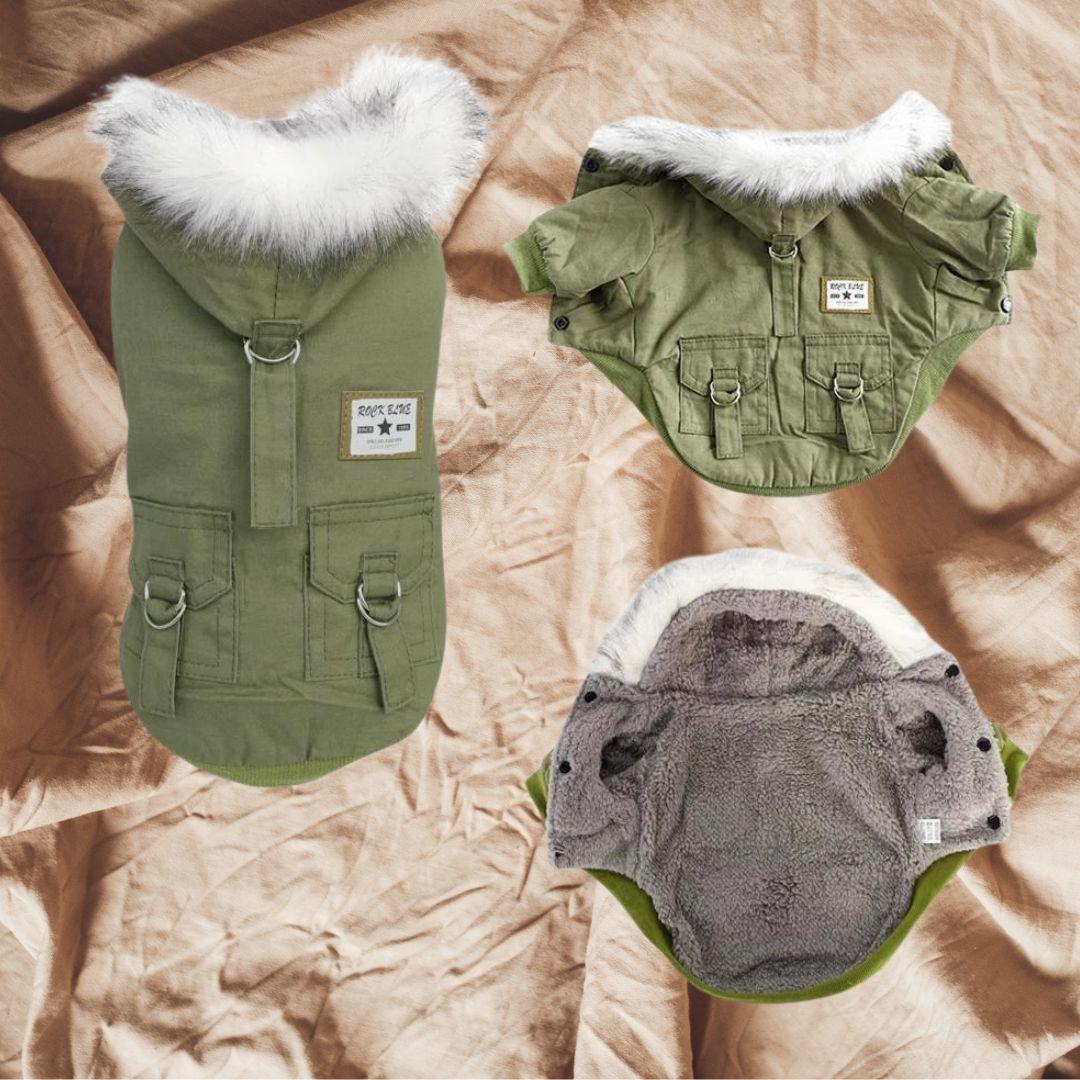 manteau chien |down jacket™