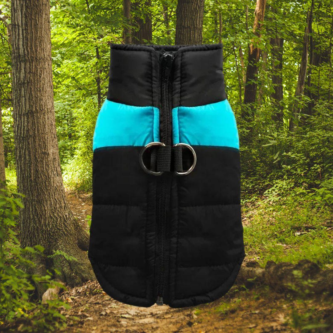 manteau pour chien| jacket™