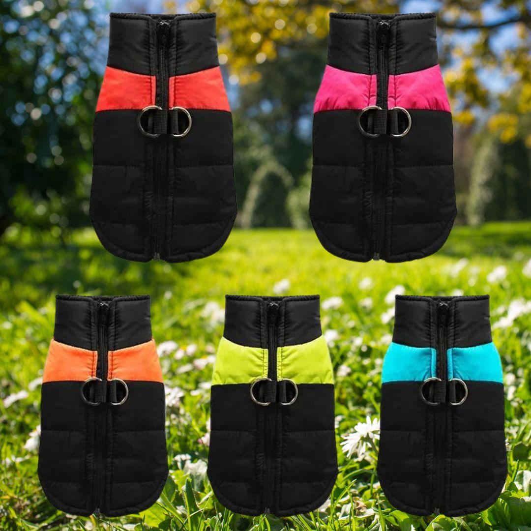 manteau pour chien| jacket™
