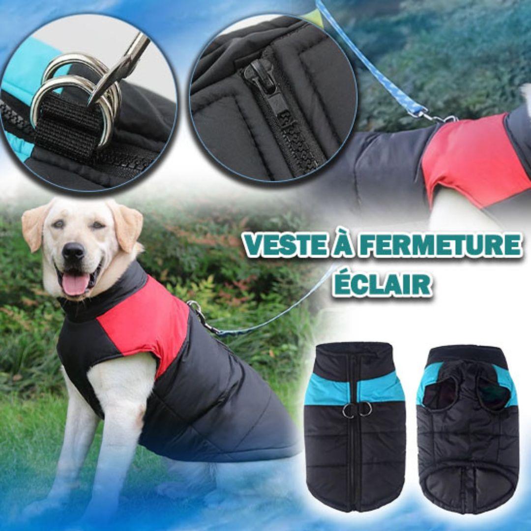 manteau pour chien| jacket™