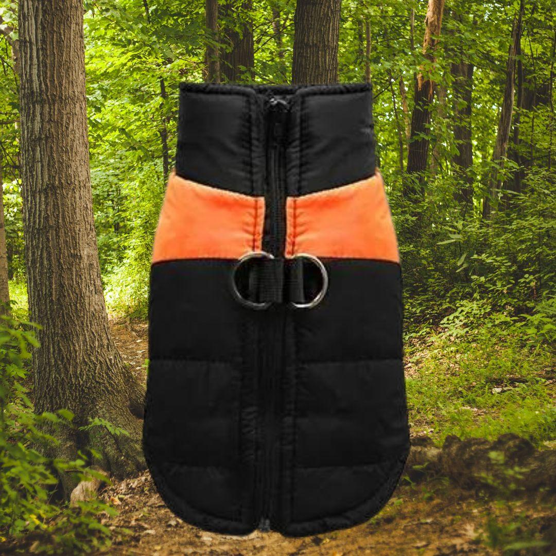manteau pour chien| jacket™