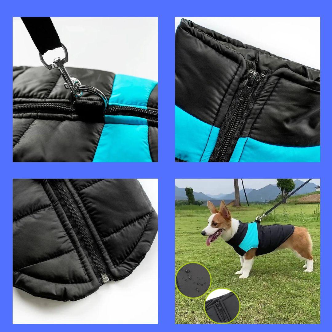 manteau pour chien| jacket™