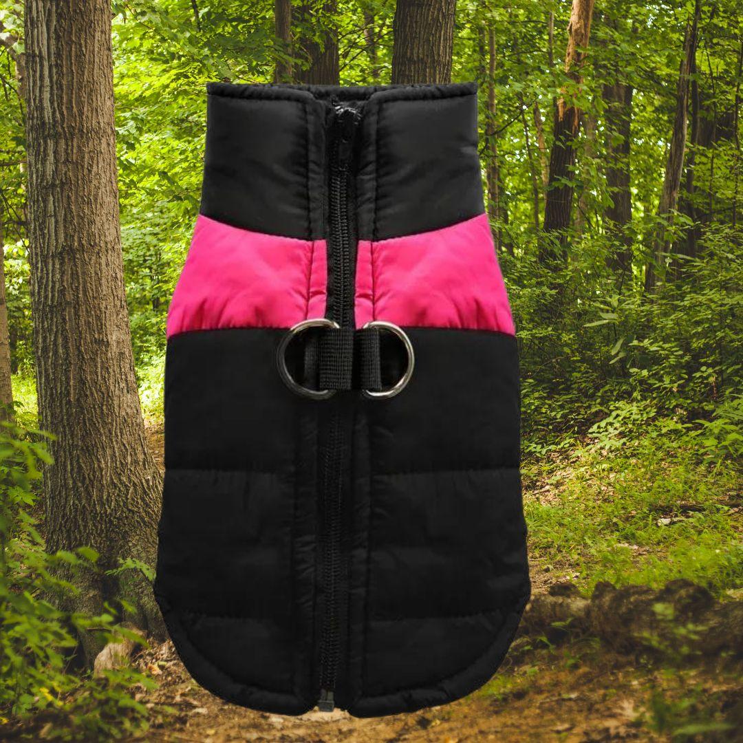 manteau pour chien| jacket™