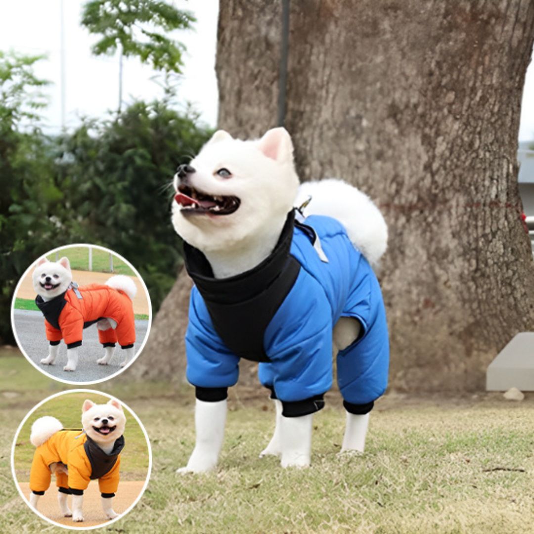 manteau pour chien|combi™